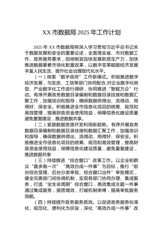 XX市数据局2025年工作计划