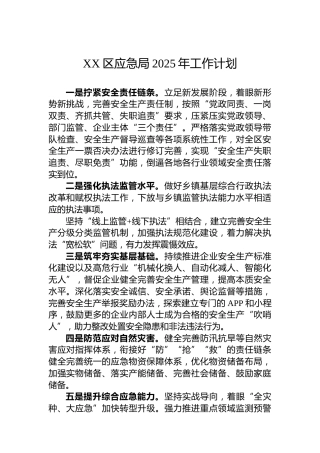 XX区应急局2025年工作计划