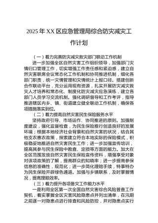 2025年XX区应急管理局综合防灾减灾工作计划