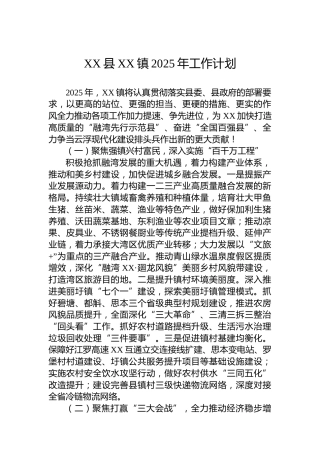 XX县XX镇2025年工作计划