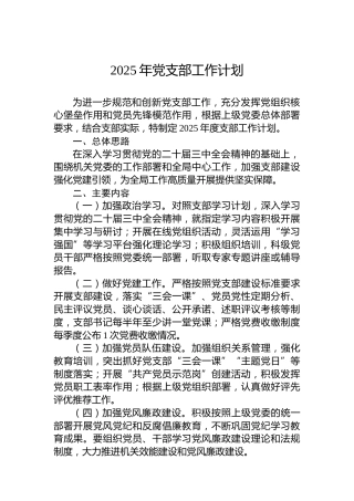 2025年党支部工作计划