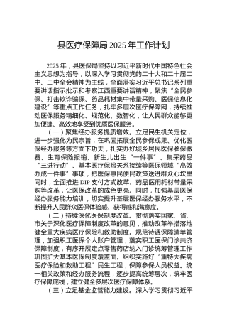 县医疗保障局2025年工作计划