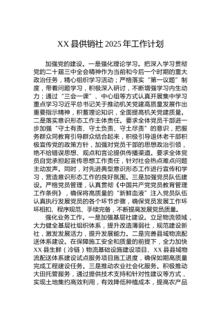 XX县供销社2025年工作计划