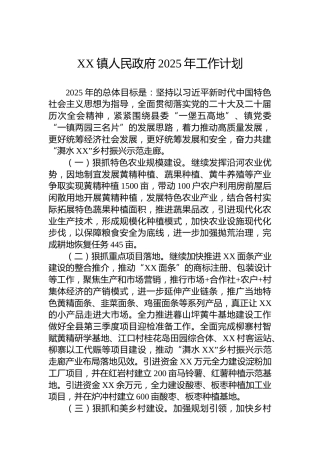XX镇人民政府2025年工作计划