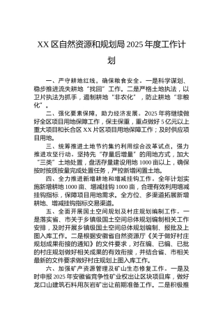 XX区自然资源和规划局2025年度工作计划