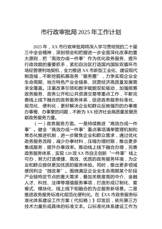 市行政审批局2025年工作计划