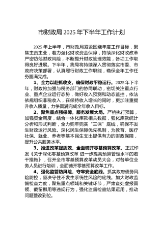 市财政局2025年下半年工作计划