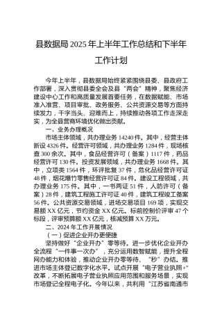 县数据局2025年上半年工作总结和下半年工作计划