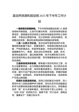 县自然资源和规划局2025年下半年工作计划