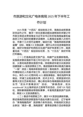 市旅游和文化广电体育局2025年下半年工作计划