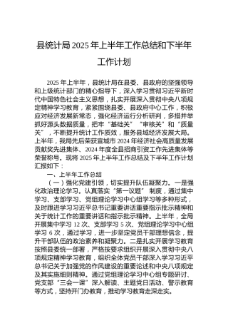 县统计局2025年上半年工作总结和下半年工作计划