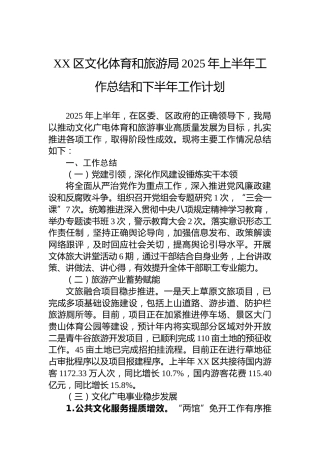 XX区文化体育和旅游局2025年上半年工作总结和下半年工作计划