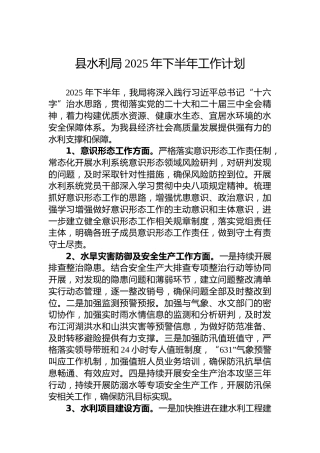 县水利局2025年下半年工作计划