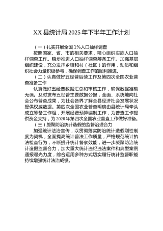 XX县统计局2025年下半年工作计划