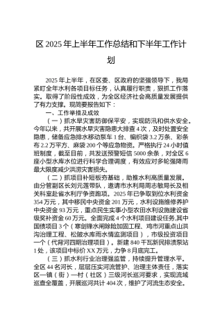 区2025年上半年工作总结和下半年工作计划