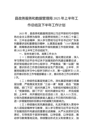县政务服务和数据管理局2025年上半年工作总结及下半年工作计划