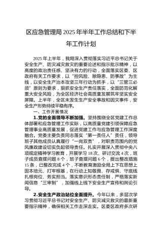 区应急管理局2025年半年工作总结和下半年工作计划