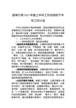 县审计局2025年度上半年工作总结和下半年工作计划