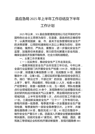 县应急局2025年上半年工作总结及下半年工作计划