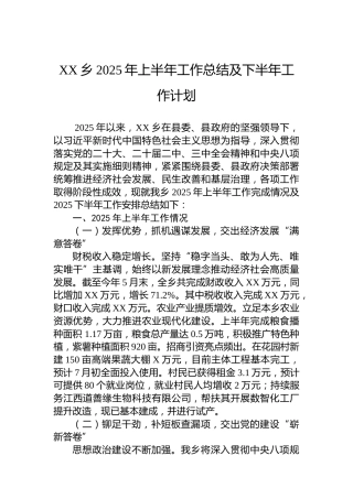 XX乡2025年上半年工作总结及下半年工作计划
