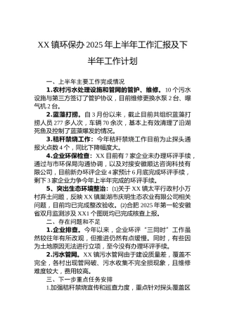 XX镇环保办2025年上半年工作汇报及下半年工作计划