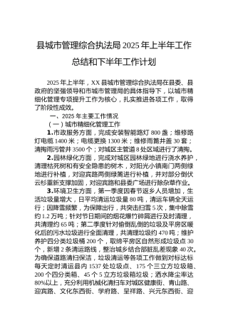 县城市管理综合执法局2025年上半年工作总结和下半年工作计划