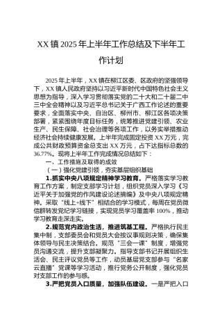 XX镇2025年上半年工作总结及下半年工作计划