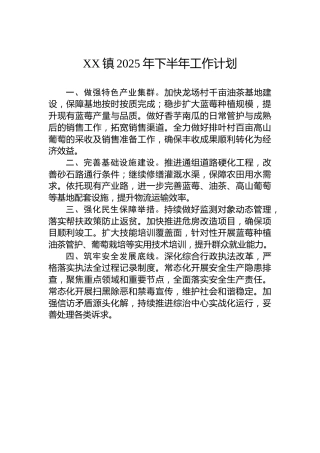 XX镇2025年下半年工作计划
