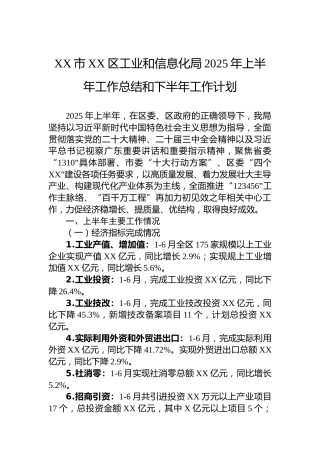 XX市XX区工业和信息化局2025年上半年工作总结和下半年工作计划