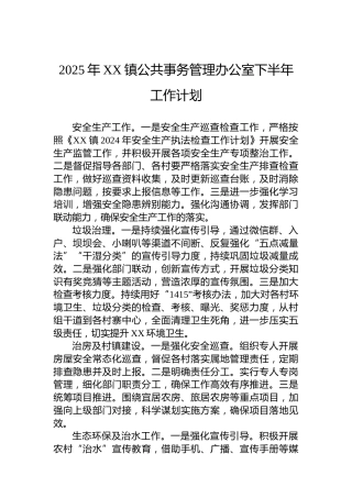 2025年XX镇公共事务管理办公室下半年工作计划