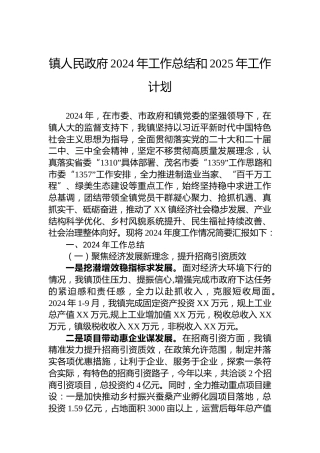 镇人民政府2024年工作总结和2025年工作计划-2