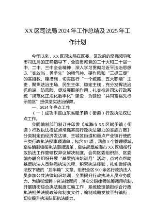 XX区司法局2024年工作总结及2025年工作计划-2