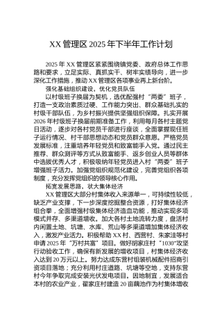 XX管理区2025年下半年工作计划
