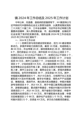 镇2024年工作总结及2025年工作计划-2