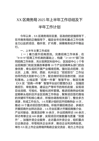 XX区商务局2025年上半年工作总结及下半年工作计划