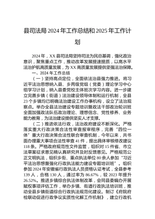 县司法局2024年工作总结和2025年工作计划-2