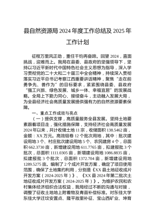 县自然资源局2024年度工作总结及2025年工作计划