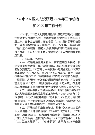 XX市XX区人力资源局2024年工作总结和2025年工作计划