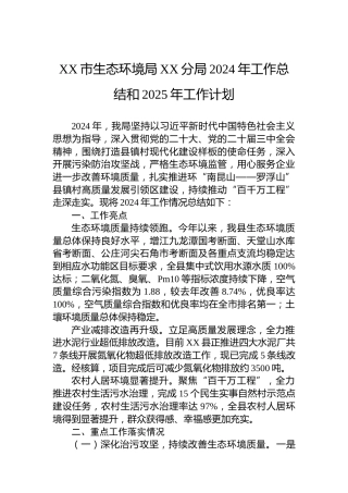 XX市生态环境局XX分局2024年工作总结和2025年工作计划