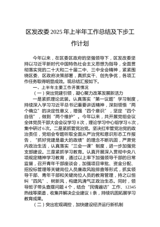 区发改委2025年上半年工作总结及下步工作计划