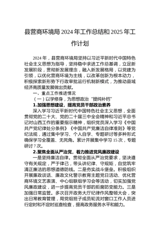 县营商环境局2024年工作总结和2025年工作计划