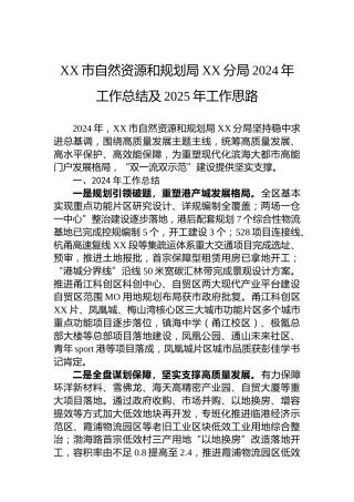 XX市自然资源和规划局XX分局2024年工作总结及2025年工作思路