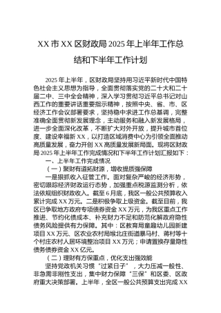 XX市XX区财政局2025年上半年工作总结和下半年工作计划