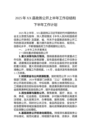 2025年XX县政务公开上半年工作总结和下半年工作计划
