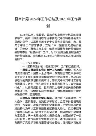县审计局2024年工作总结及2025年工作谋划
