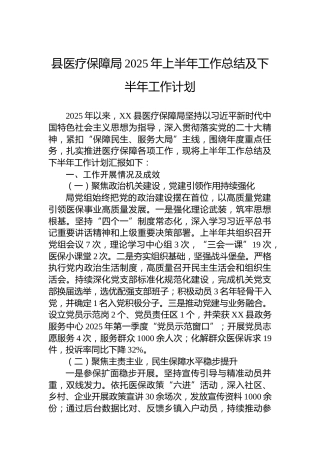 县医疗保障局2025年上半年工作总结及下半年工作计划