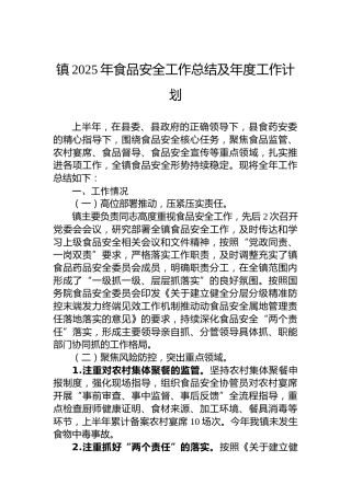 镇2025年食品安全工作总结及年度工作计划