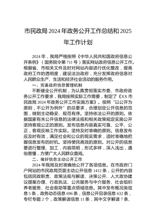 市民政局2024年政务公开工作总结和2025年工作计划