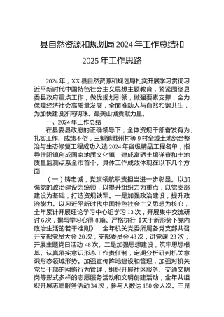 县自然资源和规划局2024年工作总结和2025年工作思路