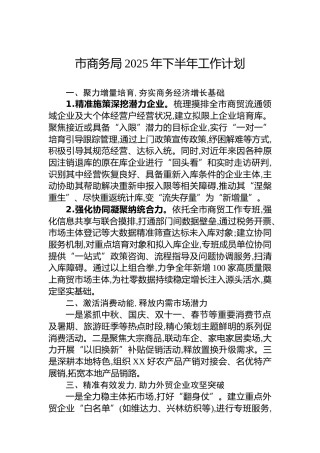 市商务局2025年下半年工作计划
